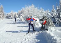 www.orientacnisporty.cz___upload___sekce_lob___ilustracni-foto___2011-01-30-cinovec
